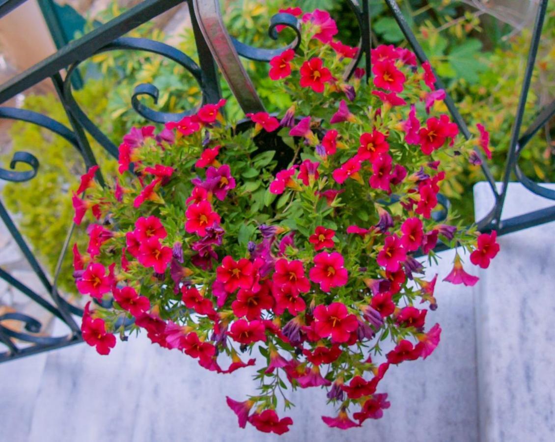 Flowers Studios Беніцес Екстер'єр фото